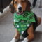 Shamrock