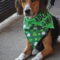 Shamrock