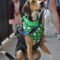 Shamrock