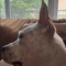 Sadie
