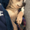 Benji (chi)