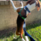 Jayce