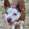 Gidget