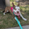 Gidget