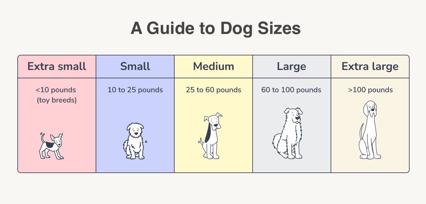 Dog Size Chart