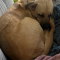 Winnie