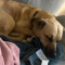 Winnie