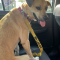 Winnie