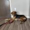 Jethro