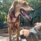 Jethro